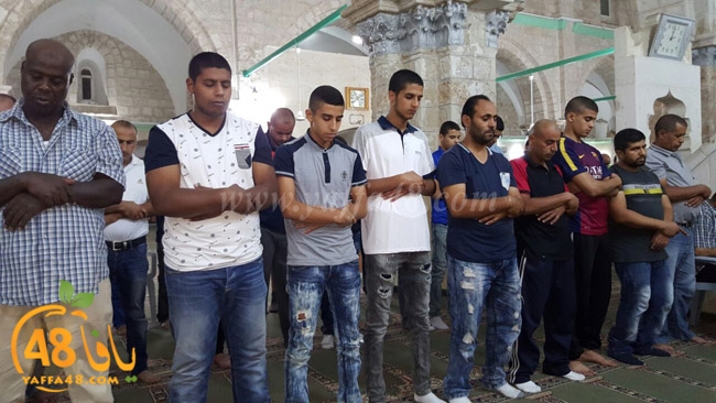 kaber ramla qder (27).jpg